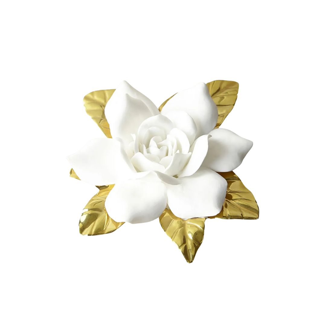 AERIN White Gardenia in White